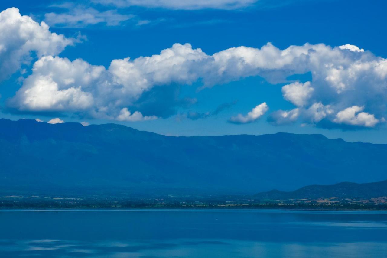 Villa Marija - Izgrev Dojran Buitenkant foto